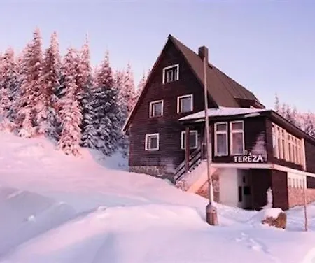 Guest house Tereza 3*